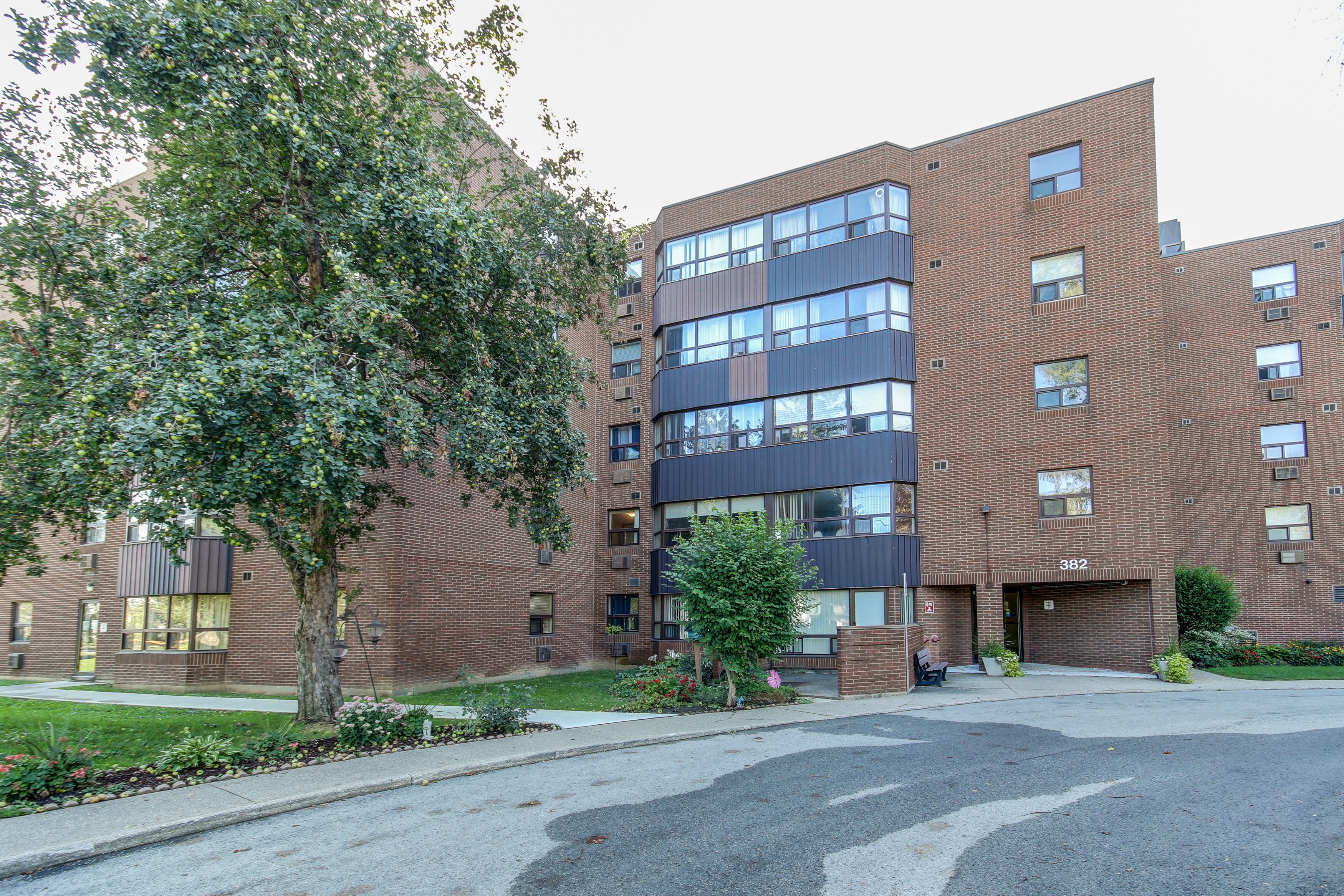 382 Queenston Street, St. Catharines, ON L2P 3V5 — photo 3